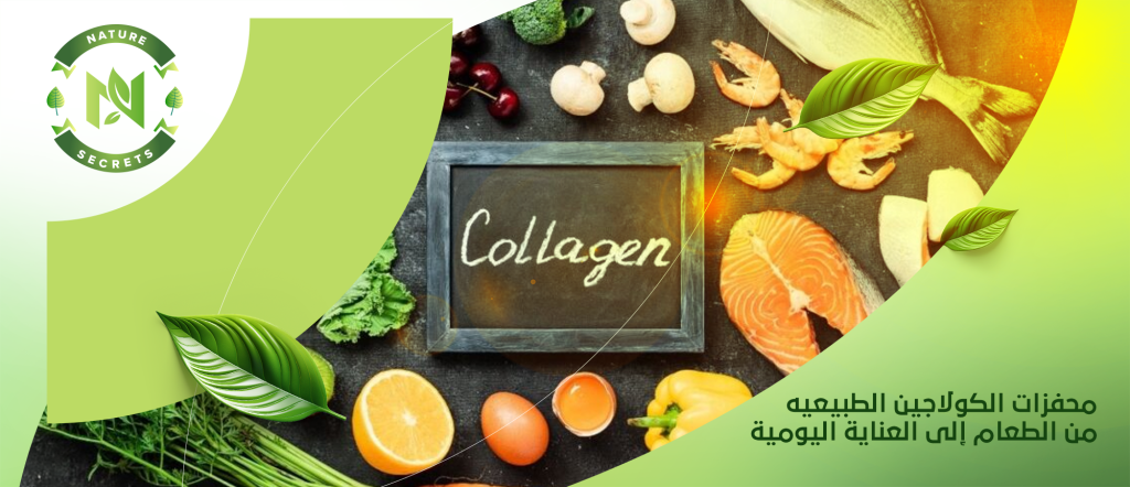 محفزات الكولاجين الطبيعيه